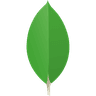 MongoDB